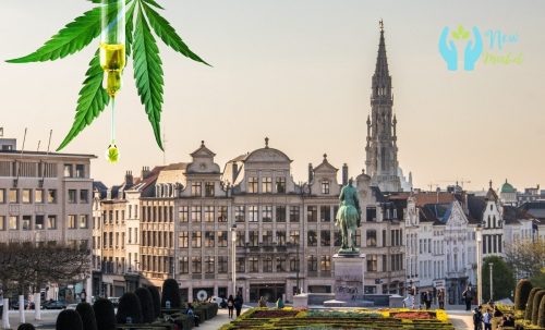 Où trouver du cannabidiol en Belgique